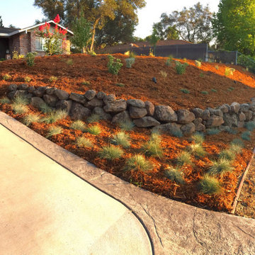 Decorative rock wall