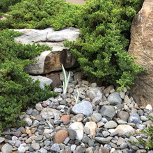 Landscape Ideas