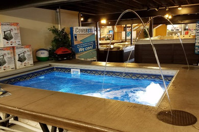 Alpine Pools and Spas