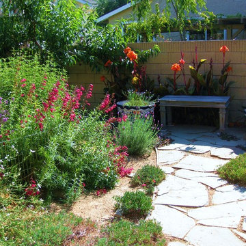 Westminister, CA: Lush CA Native Drought-Tolerant Garden