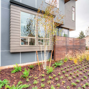Olin Avenue | Portland