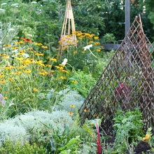garden supports