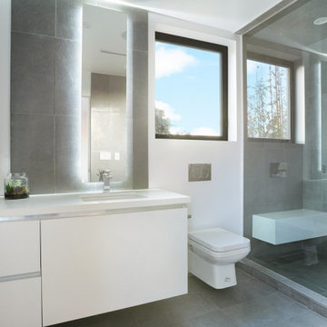 Modern/Contemporary Los Angeles Venice Home New Build