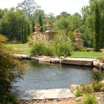 Koi Pond Maturing