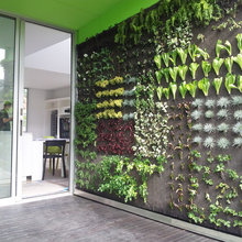 Hydroponics