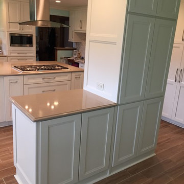 Large Mount Prospect Remodel