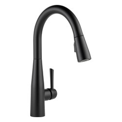 Delta Essa&reg; Single Handle Pull-down Kitchen Faucet - Kitchen Faucets
