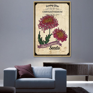 Flower Packet Chrysanthemum