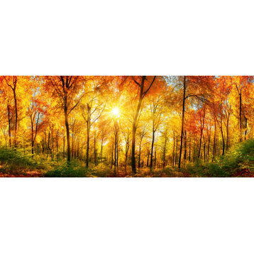 Sunny Forest Wall Mural