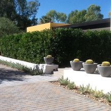 Landscaping