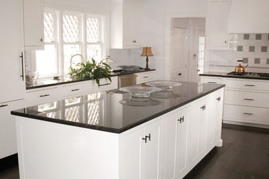Kitchen - mid-sized cottage dark wood floor kitchen idea in Other with flat-panel cabinets and an island