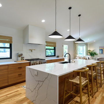Whole House Remodel
