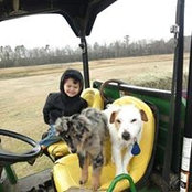 Vicky Bostick's photo