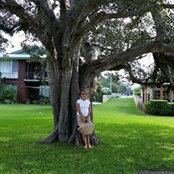 Lyn Brown's photo