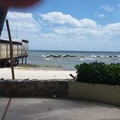 Kathleen Siegfried's photo