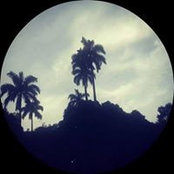 Antony Barrett's photo