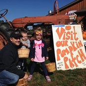Christopher Pless's photo