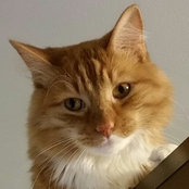 Foto de thor4833