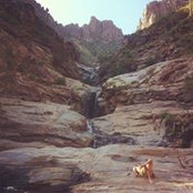 Michael Shick's photo