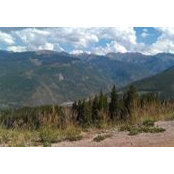 Natalie Wilcox's photo