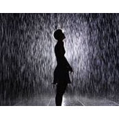 Yvonne Luong's photo