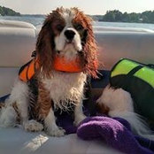 Wendy Figge's photo