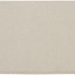 6th Avenue Field 2" x 6" in Fog Gloss - Tile