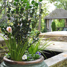 Landscape Ideas