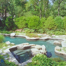 Yard + Patio + Poll ideas