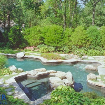 Rye Natural Pool
