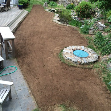 Sodding of Dog Damaged Yard - Madison
