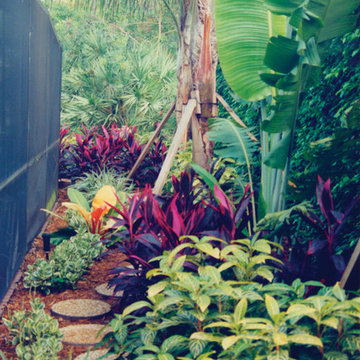 Boca Raton Tropical Shade Landscape