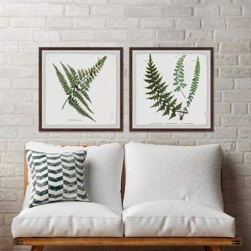 Fern Leaves Diptych