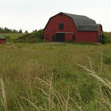 A Farm