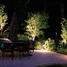 landscaping for 2315 Dawn Trail