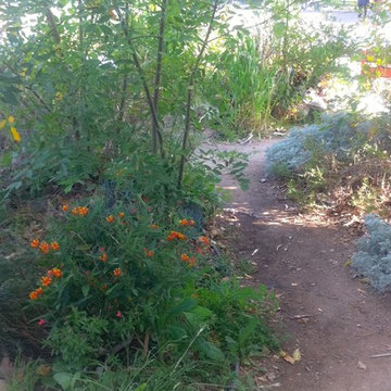 Front Yard Wildlife and Food Garden