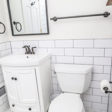 Master & Common Bath Remodel in Park Ridge