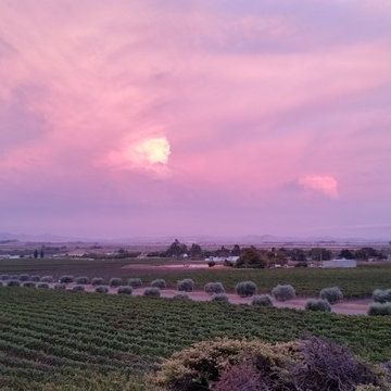 Past projects - Sonoma Valley Sunset