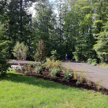 Northern Albemarle County, VA: Deer Out, People & Plants In
