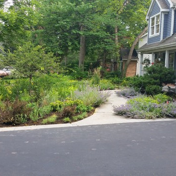 Rockford mulch-less front yard