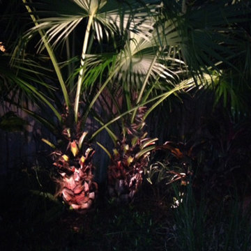 Landscape Lighting