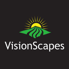 VisionScapes