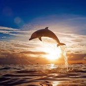 Jesse Kesner's photo