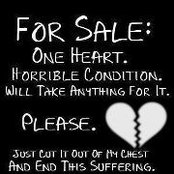 Pallavi Jha's photo