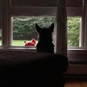 Stacey Colegrove's photo