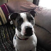 Cindy Kemp's photo