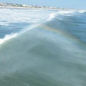 Donna Jones's photo