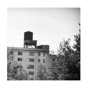 jpoladsky's photo