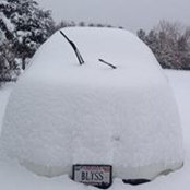 Melissa Hulse's photo