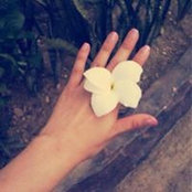 Ji Won Kim's photo